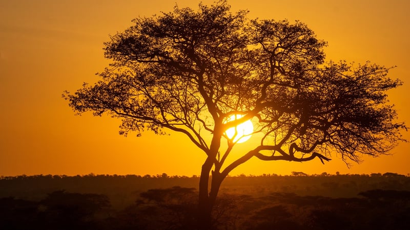 Serengeti National Park, Tanzania